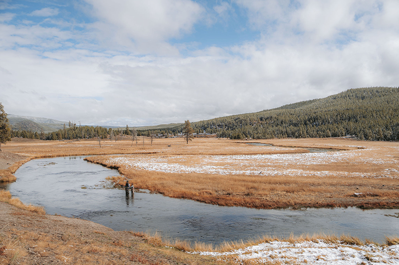 Fly fishing in Yellowstone