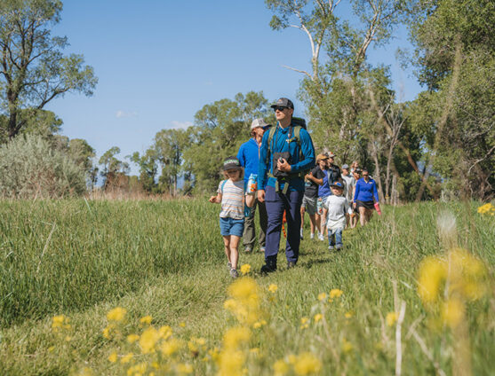 Guided Hike