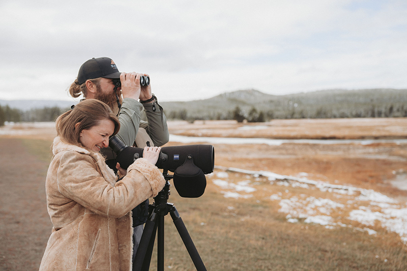 Wildlife Viewing with a Guide