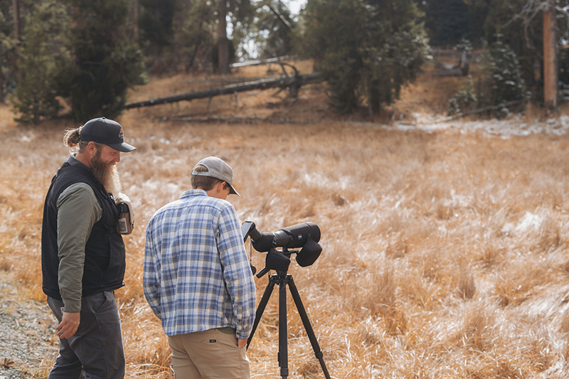 Wildlife Viewing with a Guide