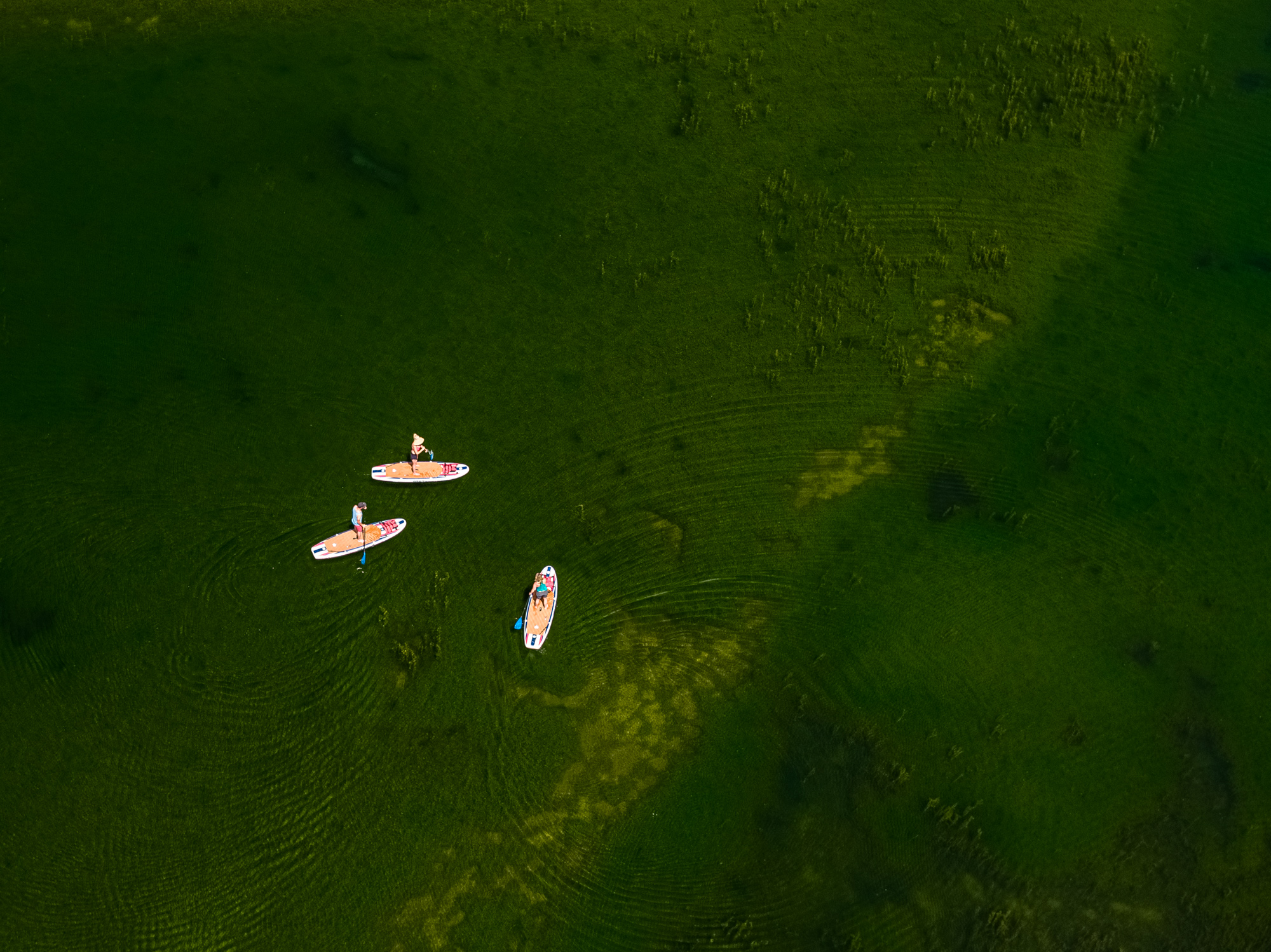 aerial view of paddle boards