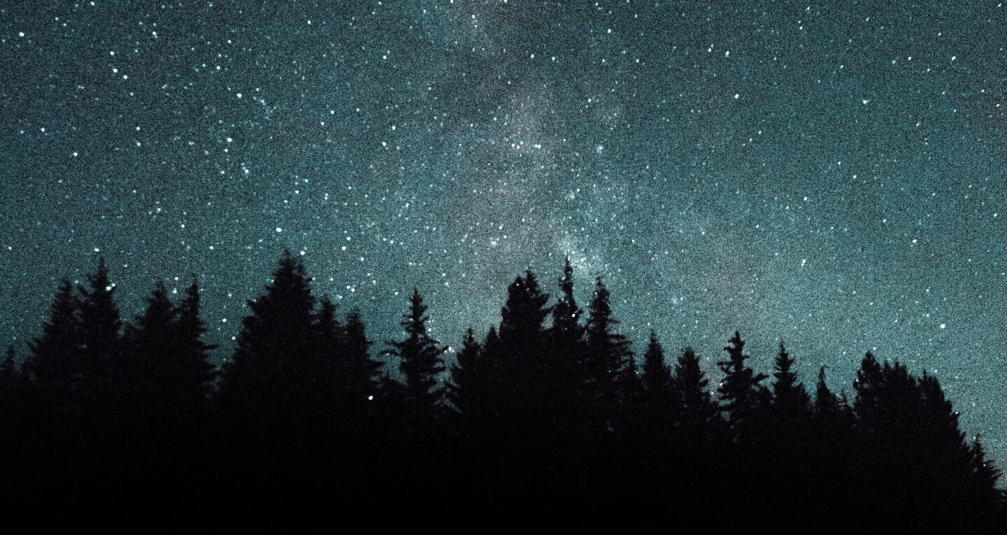 Stars and Treeline