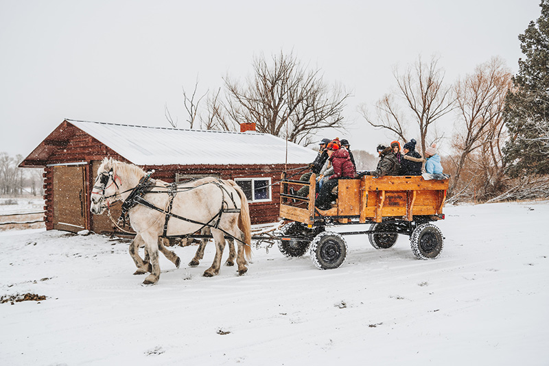 Carriage Rides in Winter