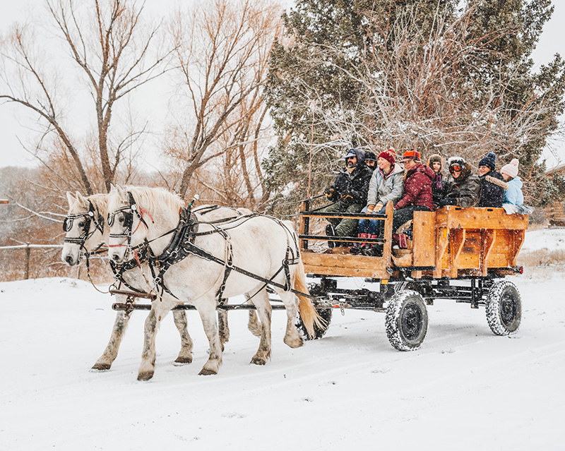 Carriage Rides in Snow
