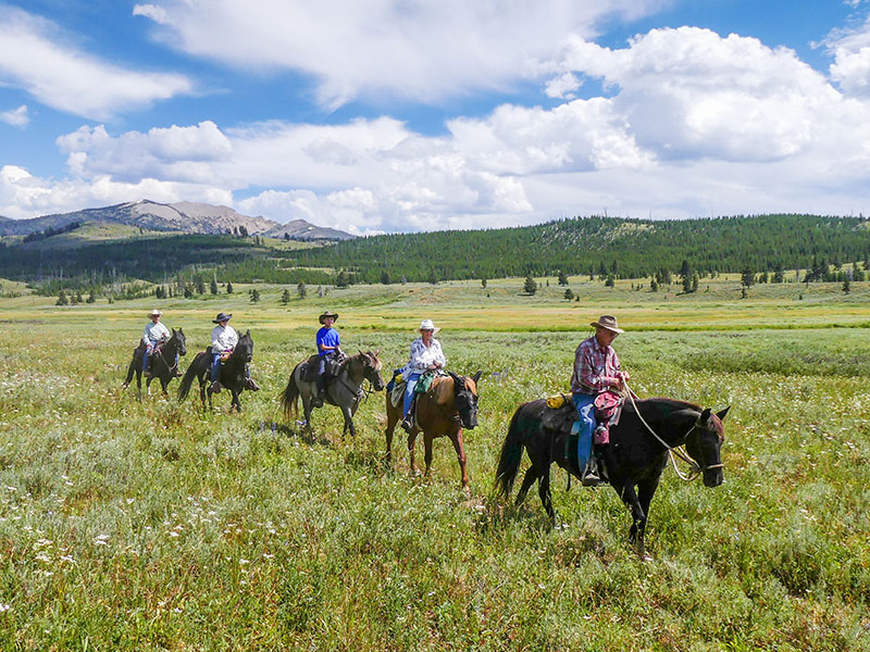 A group of people Horseback Riding