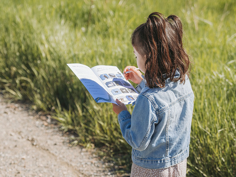 A child looking at a Junior Ranger Guidebook.