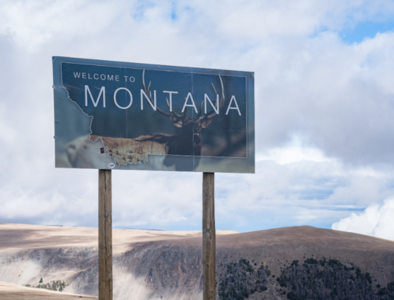 Montana Sign