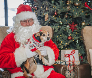 Santa with Dog