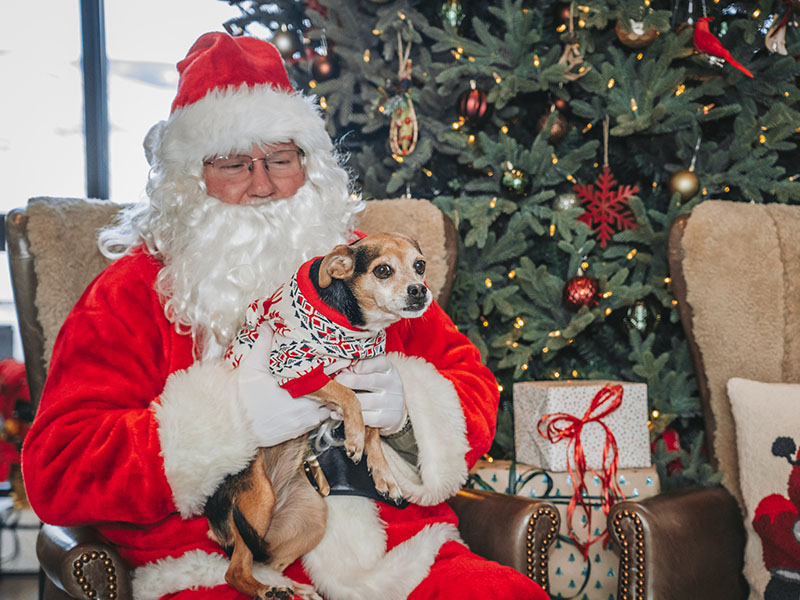 Santa with Dog