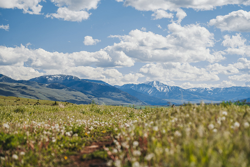 Sage Lodge Trails