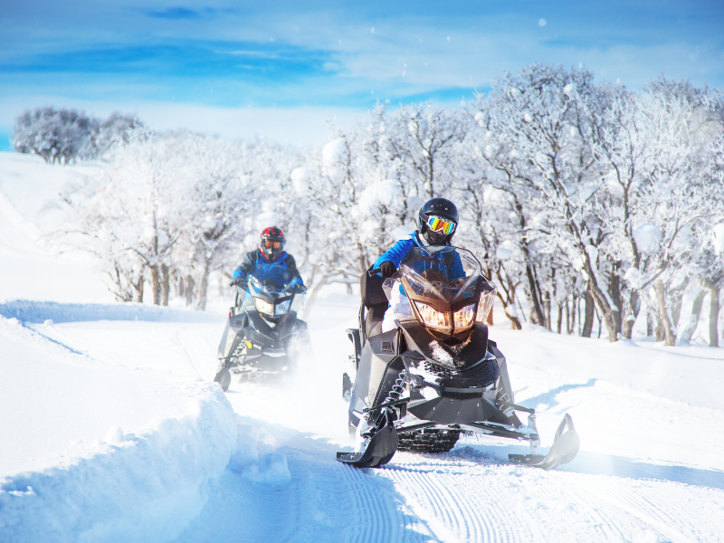 Group Snowmobiling