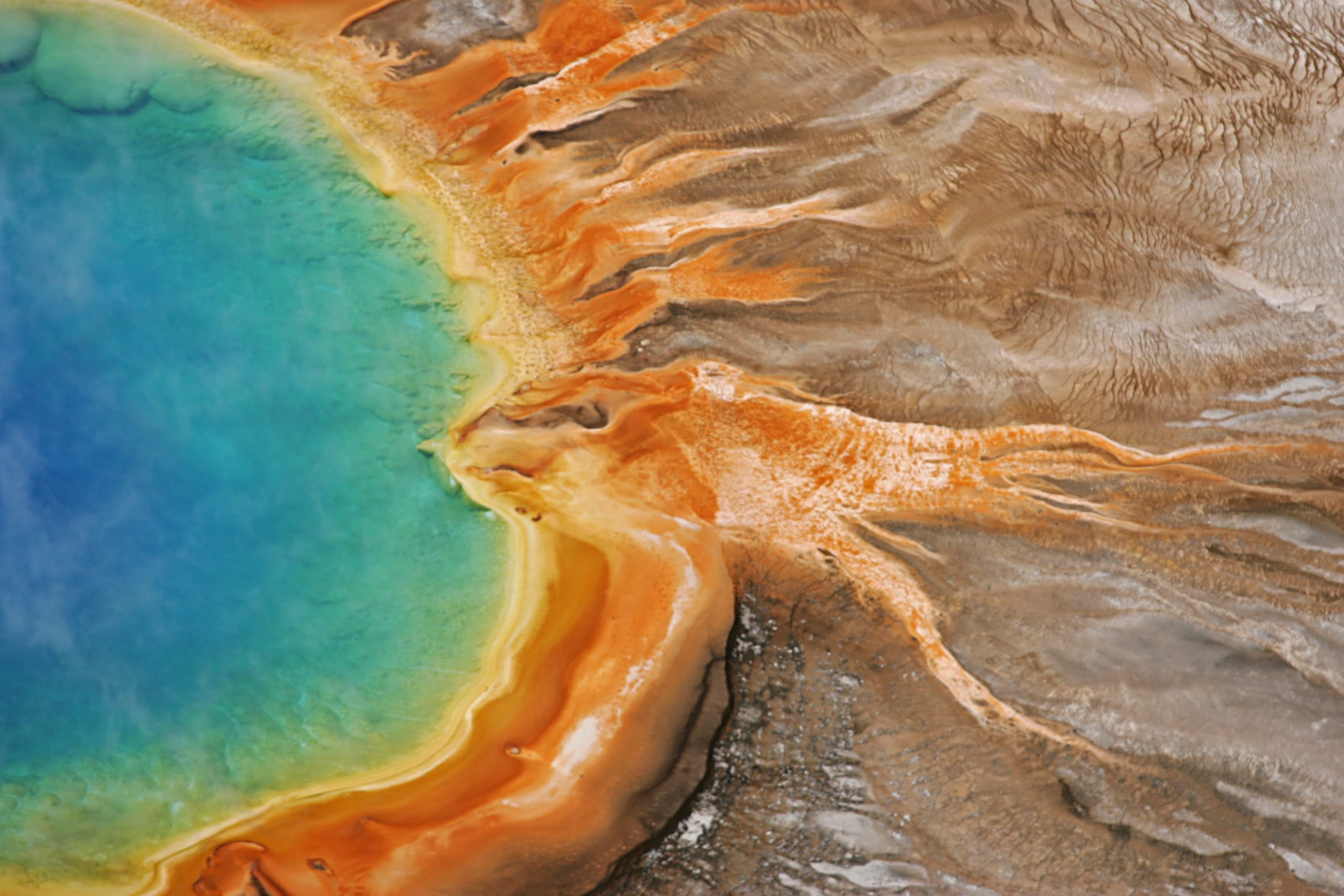 https://sagelodge.com/wp-content/uploads/2026/06/Yellowstone-National-Park-Tours-1-scaled-1.jpg